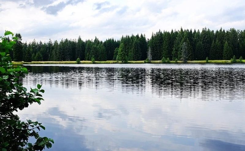 Mýtský rybník